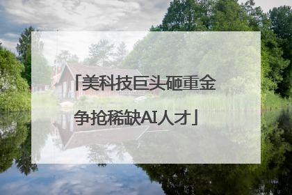 美科技巨头砸重金争抢稀缺AI人才