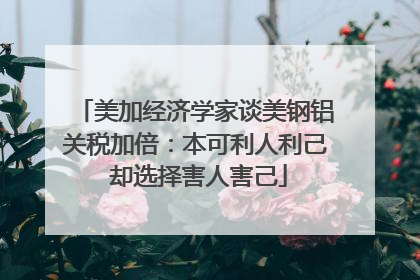 美加经济学家谈美钢铝关税加倍：本可利人利己 却选择害人害己