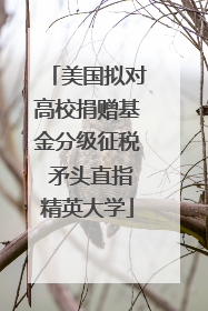美国拟对高校捐赠基金分级征税 矛头直指精英大学