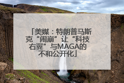 美媒：特朗普马斯克“闹崩”让“科技右翼”与MAGA的不和公开化