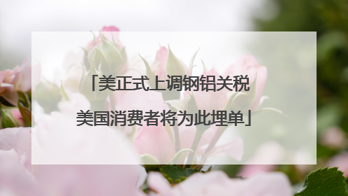 美正式上调钢铝关税 美国消费者将为此埋单