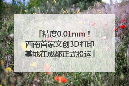 精度0.01mm！西南首家文创3D打印基地在成都正式投运