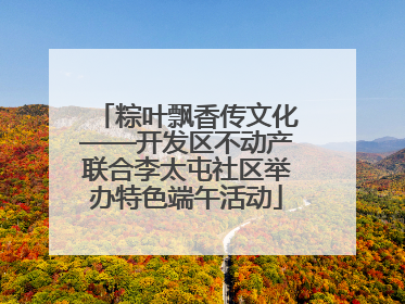 粽叶飘香传文化——开发区不动产联合李太屯社区举办特色端午活动
