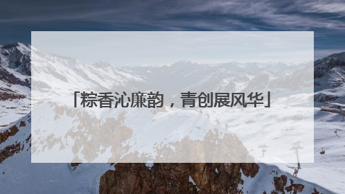 粽香沁廉韵，青创展风华