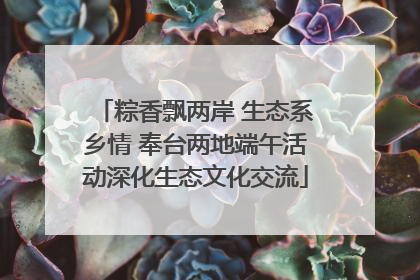粽香飘两岸 生态系乡情 奉台两地端午活动深化生态文化交流