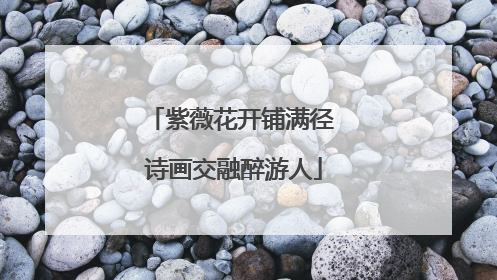 紫薇花开铺满径 诗画交融醉游人