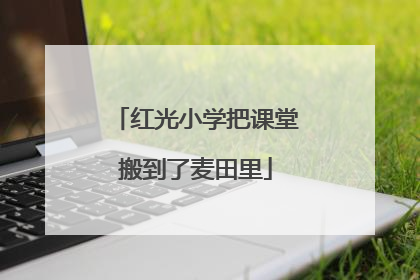 红光小学把课堂搬到了麦田里