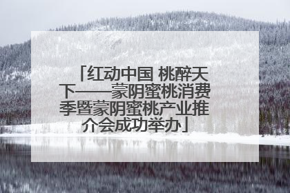 红动中国 桃醉天下——蒙阴蜜桃消费季暨蒙阴蜜桃产业推介会成功举办