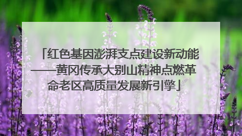 红色基因澎湃支点建设新动能——黄冈传承大别山精神点燃革命老区高质量发展新引擎
