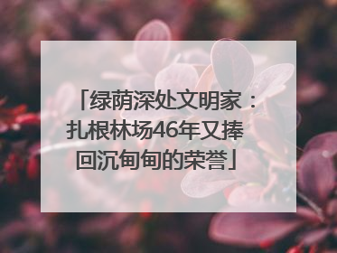 绿荫深处文明家：扎根林场46年又捧回沉甸甸的荣誉