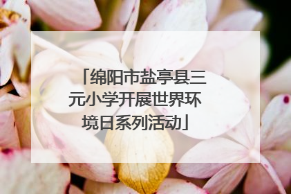绵阳市盐亭县三元小学开展世界环境日系列活动