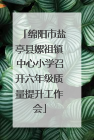 绵阳市盐亭县嫘祖镇中心小学召开六年级质量提升工作会