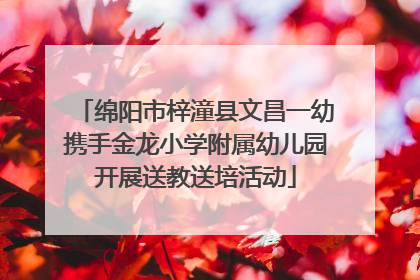 绵阳市梓潼县文昌一幼携手金龙小学附属幼儿园开展送教送培活动
