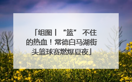 组图丨“篮” 不住的热血！常德白马湖街头篮球赛燃爆夏夜
