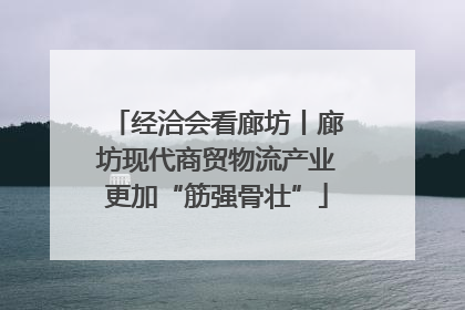 经洽会看廊坊丨廊坊现代商贸物流产业更加“筋强骨壮”
