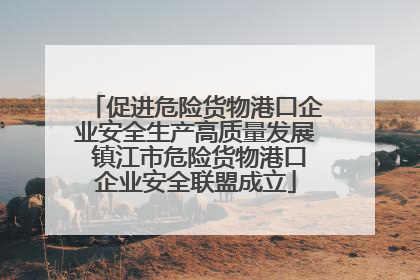 促进危险货物港口企业安全生产高质量发展 镇江市危险货物港口企业安全联盟成立