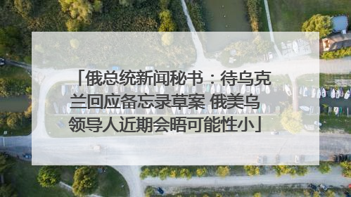 俄总统新闻秘书：待乌克兰回应备忘录草案 俄美乌领导人近期会晤可能性小