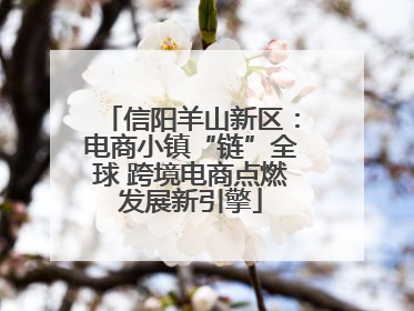 信阳羊山新区：电商小镇“链”全球 跨境电商点燃发展新引擎