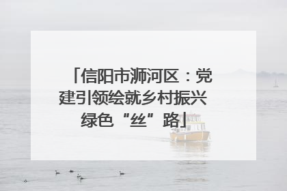 信阳市浉河区：党建引领绘就乡村振兴绿色“丝”路