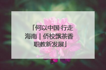 何以中国·行走海南｜侨校飘茶香 职教新发展