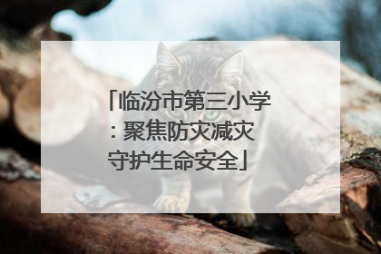 临汾市第三小学：聚焦防灾减灾 守护生命安全