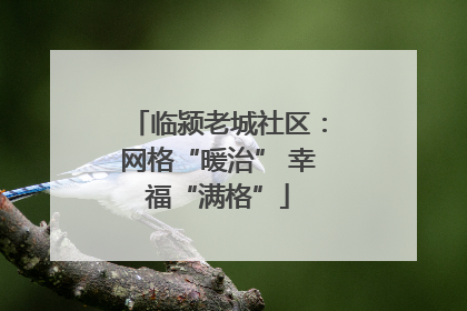 临颍老城社区：网格“暖治” 幸福“满格”