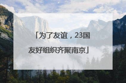 为了友谊，23国友好组织齐聚南京