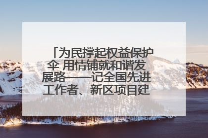 为民撑起权益保护伞 用情铺就和谐发展路——记全国先进工作者、新区项目建设中心干部卢小勇