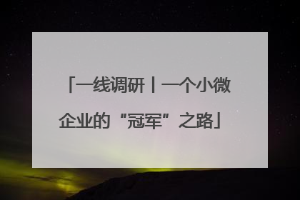 一线调研丨一个小微企业的“冠军”之路
