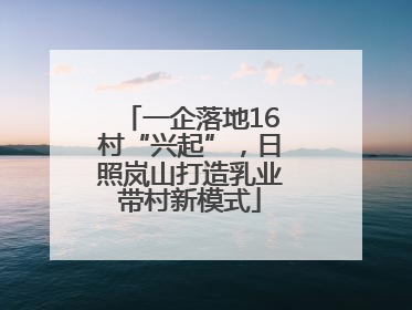 一企落地16村“兴起”，日照岚山打造乳业带村新模式