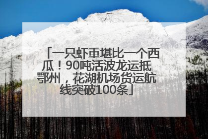 一只虾重堪比一个西瓜！90吨活波龙运抵鄂州，花湖机场货运航线突破100条