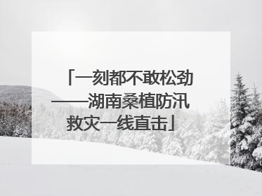 一刻都不敢松劲——湖南桑植防汛救灾一线直击