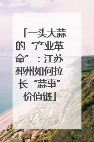 一头大蒜的“产业革命”：江苏邳州如何拉长“蒜事”价值链
