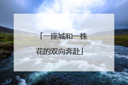 一座城和一株花的双向奔赴