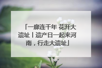 一廊连千年 花开大遗址丨遗产日一起来河南，行走大遗址
