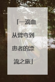 一滴血从臂弯到患者的漂流之旅