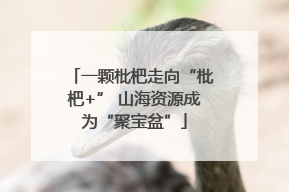 一颗枇杷走向“枇杷+” 山海资源成为“聚宝盆”