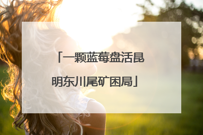 一颗蓝莓盘活昆明东川尾矿困局