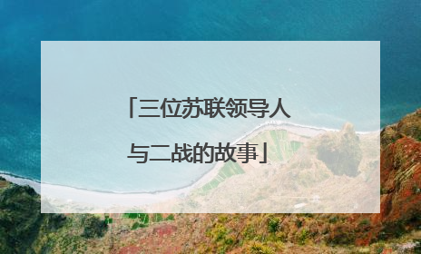 三位苏联领导人与二战的故事