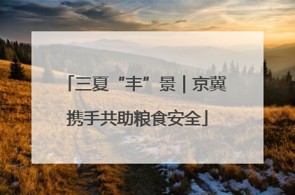 三夏“丰”景｜京冀携手共助粮食安全