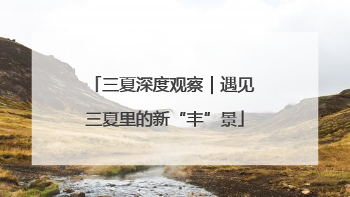 三夏深度观察｜遇见三夏里的新“丰”景