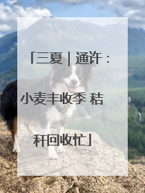 三夏｜通许：小麦丰收季 秸秆回收忙