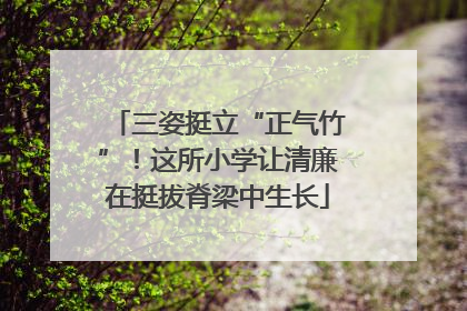 三姿挺立“正气竹”！这所小学让清廉在挺拔脊梁中生长