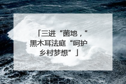 三进“菌地，”黑木耳法庭“呵护乡村梦想”