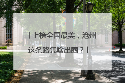 上榜全国最美，沧州这条路凭啥出圈？