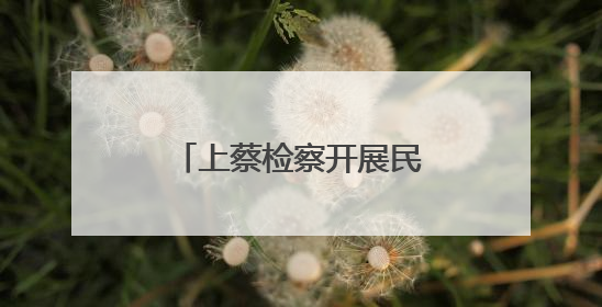 上蔡检察开展民法典颁布五周年检察开放日活动