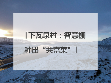 下瓦泉村：智慧棚种出“共富菜”