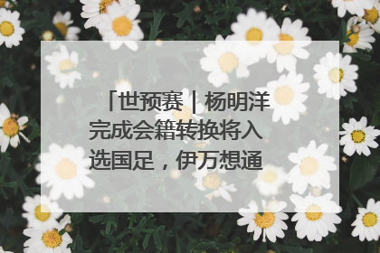 世预赛｜杨明洋完成会籍转换将入选国足，伊万想通了要打双后腰？