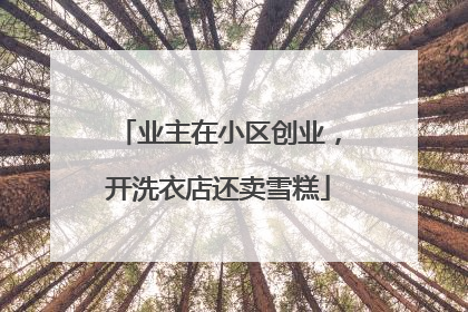 业主在小区创业，开洗衣店还卖雪糕