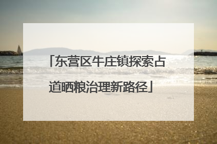 东营区牛庄镇探索占道晒粮治理新路径